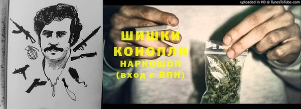 сатива Алексеевка