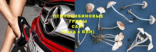 сатива Алексеевка